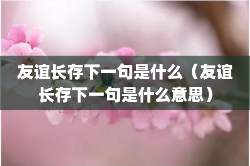 友谊长存下一句是什么（友谊长存下一句是什么意思）
