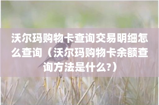 沃尔玛购物卡查询交易明细怎么查询（沃尔玛购物卡余额查询方法是什么?）