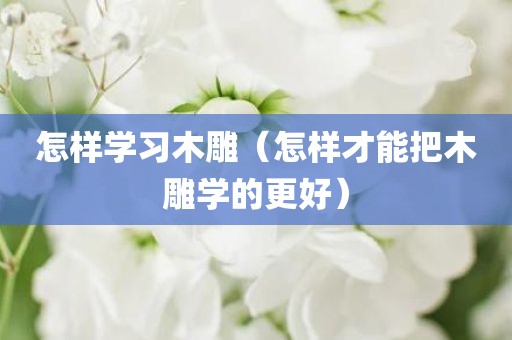 怎样学习木雕（怎样才能把木雕学的更好）
