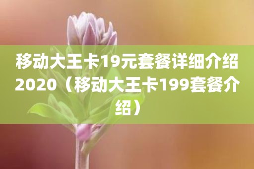 移动大王卡19元套餐详细介绍2020(移动大王卡199套餐介绍) 移动大王卡19元套餐详细介绍2020(移动大王卡199套餐介绍)