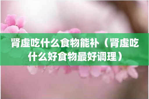 肾虚吃什么食物能补（肾虚吃什么好食物最好调理）