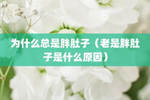 为什么总是胖肚子（老是胖肚子是什么原因）