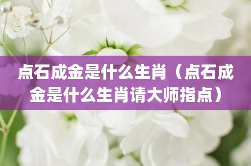 点石成金是什么生肖（点石成金是什么生肖请大师指点）