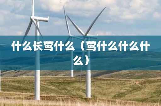 什么长莺什么（莺什么什么什么）