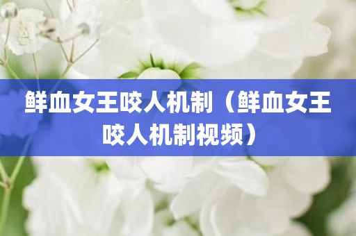 鲜血女王咬人机制(鲜血女王咬人机制视频)