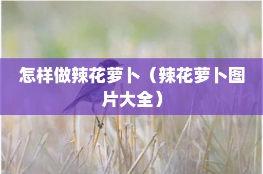 怎样做辣花萝卜（辣花萝卜图片大全）