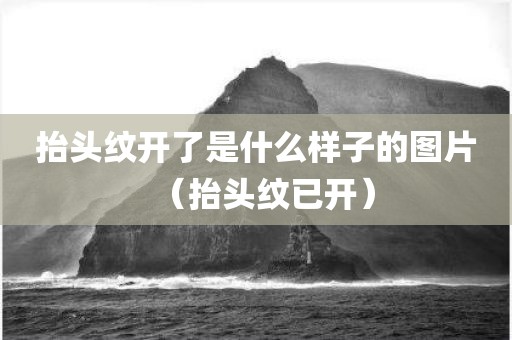 抬头纹开了是什么样子的图片（抬头纹已开）