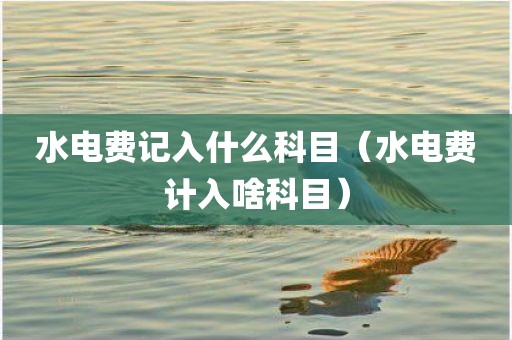 水电费记入什么科目（水电费计入啥科目）