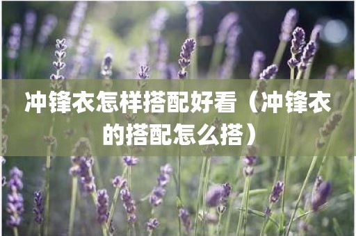 冲锋衣怎样搭配好看（冲锋衣的搭配怎么搭）