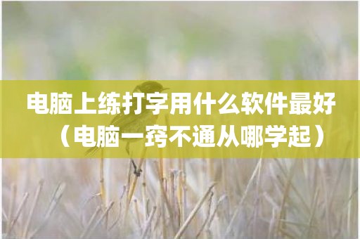 电脑上练打字用什么软件最好（电脑一窍不通从哪学起）