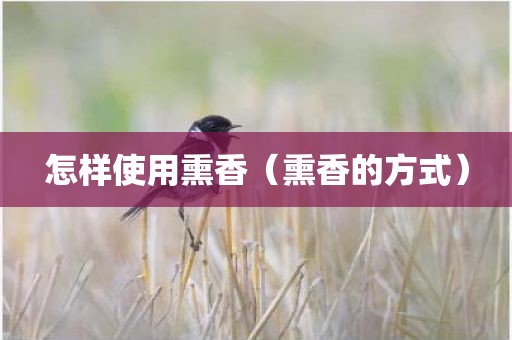 怎样使用熏香（熏香的方式）