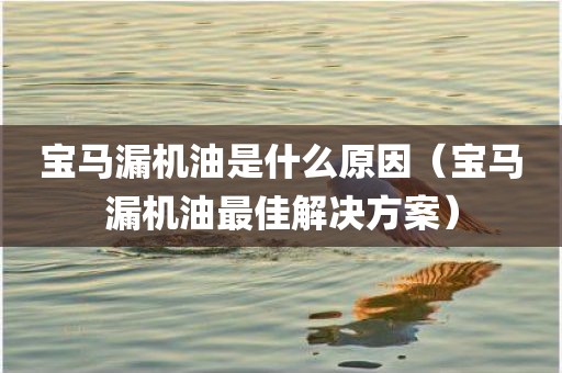 宝马漏机油是什么原因（宝马漏机油最佳解决方案）