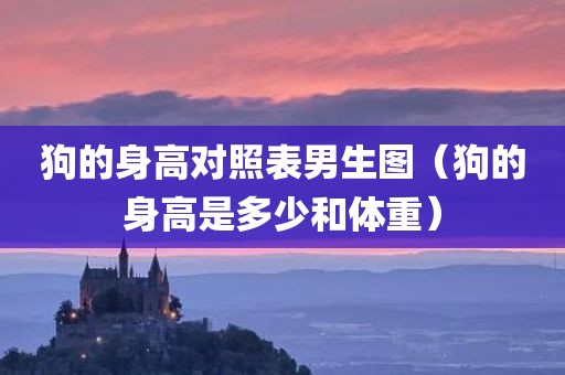 狗的身高对照表男生图（狗的身高是多少和体重）