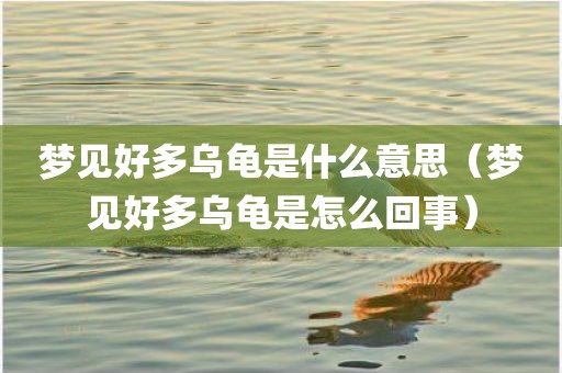 梦见好多乌龟是什么意思（梦见好多乌龟是怎么回事）