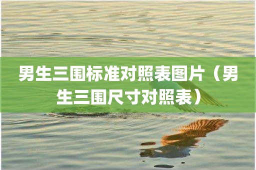 男生三围标准对照表图片（男生三围尺寸对照表）