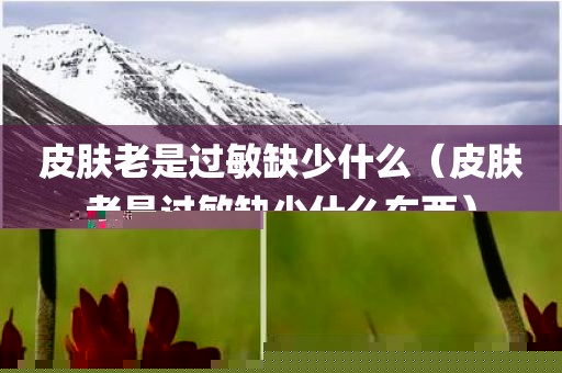 皮肤老是过敏缺少什么（皮肤老是过敏缺少什么东西）