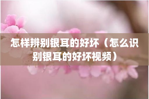 怎样辨别银耳的好坏（怎么识别银耳的好坏视频）