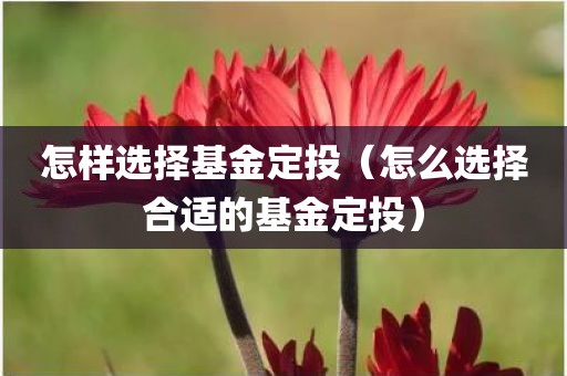 怎样选择基金定投（怎么选择合适的基金定投）