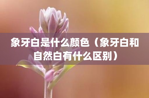 象牙白是什么颜色(象牙白和自然白有什么区别)