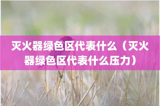灭火器绿色区代表什么（灭火器绿色区代表什么压力）