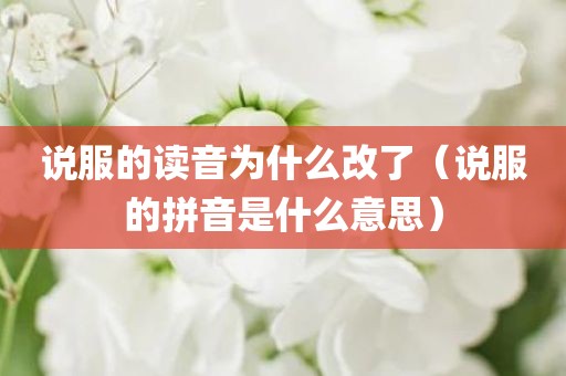 说服的读音为什么改了（说服的拼音是什么意思）