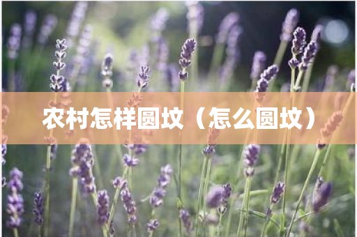 农村怎样圆坟(怎么圆坟)