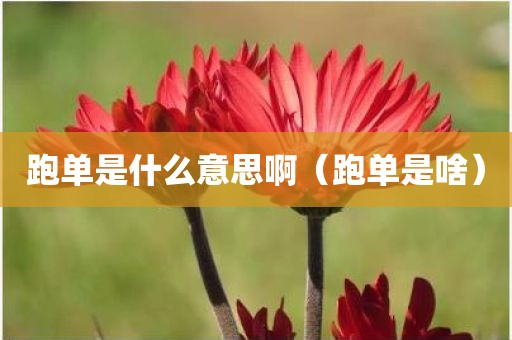 跑单是什么意思啊（跑单是啥）