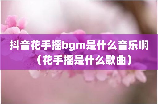 抖音花手摇bgm是什么音乐啊（花手摇是什么歌曲）