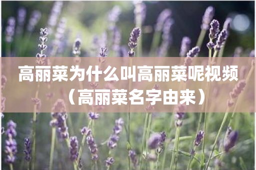 高丽菜为什么叫高丽菜呢视频（高丽菜名字由来）