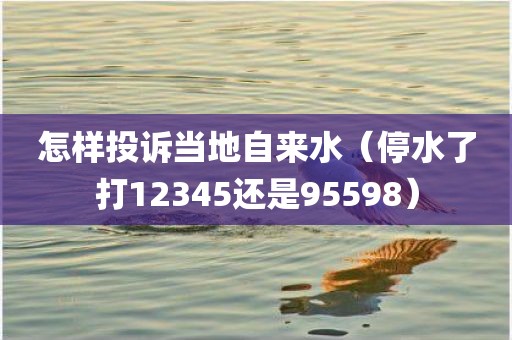 怎样投诉当地自来水（停水了打12345还是95598）