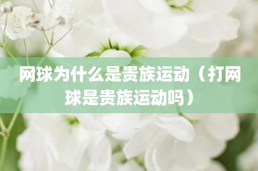 网球为什么是贵族运动（打网球是贵族运动吗）