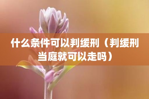 什么条件可以判缓刑（判缓刑当庭就可以走吗）