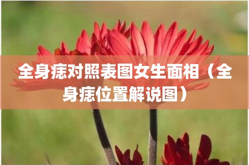 全身痣对照表图女生面相（全身痣位置解说图）