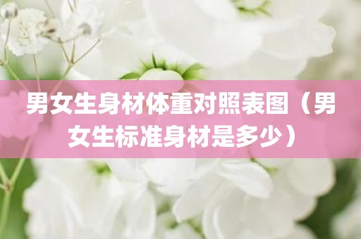 男女生身材体重对照表图（男女生标准身材是多少）