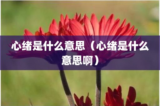 心绪是什么意思（心绪是什么意思啊）