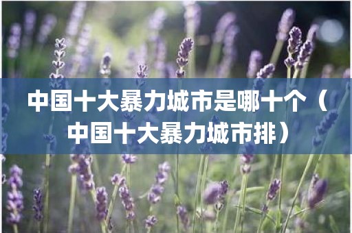 中国十大暴力城市是哪十个（中国十大暴力城市排）