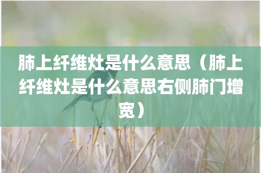 肺上纤维灶是什么意思（肺上纤维灶是什么意思右侧肺门增宽）