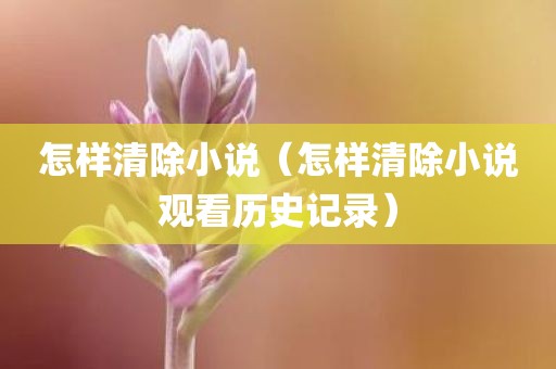 怎样清除小说（怎样清除小说观看历史记录）