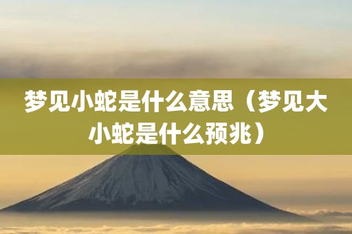 梦见小蛇是什么意思（梦见大小蛇是什么预兆）