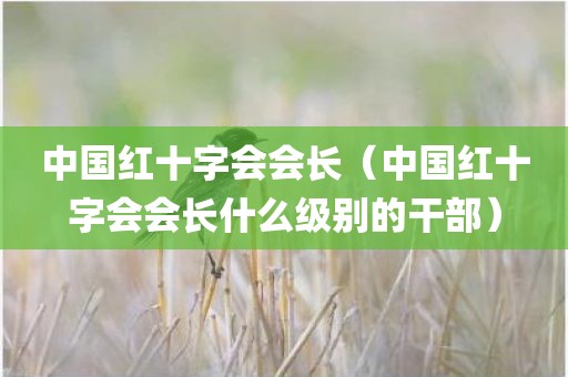 中国红十字会会长（中国红十字会会长什么级别的干部）