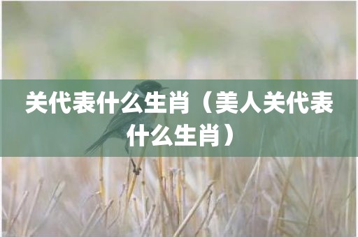 关代表什么生肖（美人关代表什么生肖）