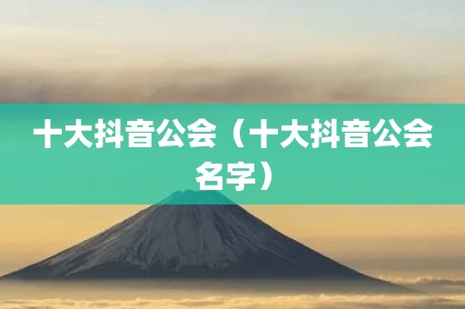 十大抖音公会（十大抖音公会名字）