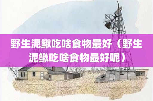 野生泥鳅吃啥食物最好（野生泥鳅吃啥食物最好呢）