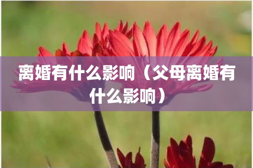 离婚有什么影响（父母离婚有什么影响）
