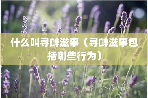 什么叫寻衅滋事（寻衅滋事包括哪些行为）