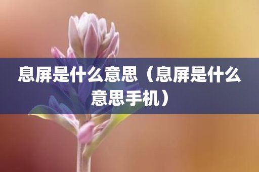 息屏是什么意思（息屏是什么意思手机）