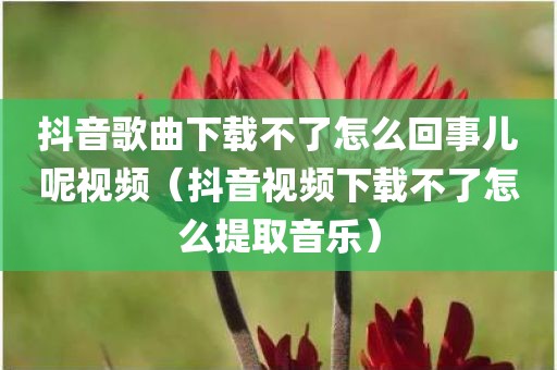 抖音歌曲下载不了怎么回事儿呢视频（抖音视频下载不了怎么提取音乐）