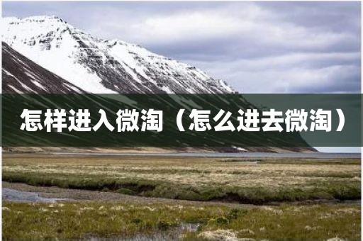 怎样进入微淘（怎么进去微淘）
