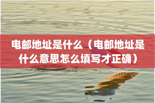 电邮地址是什么（电邮地址是什么意思怎么填写才正确）