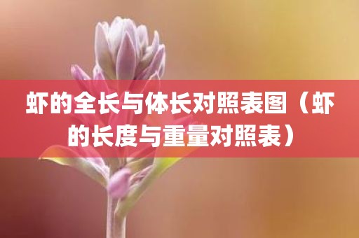 虾的全长与体长对照表图（虾的长度与重量对照表）